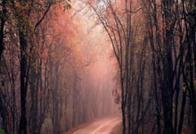 球员伤愈复出，备战欧洲联赛关键战