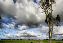 沙特球队瞬间逆转，晋级形势更加乐观