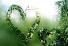 德国球员在欧预赛中取得胜利