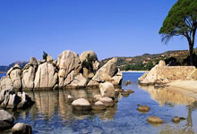 那不勒斯前锋状态神勇，欲问鼎意甲金靴